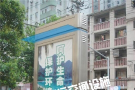 ����ֲ�����������ص�