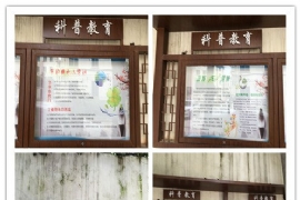 �������������������������һ���ƽ��������ս���