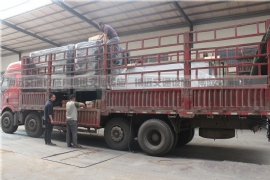 �����ͤ��װ����