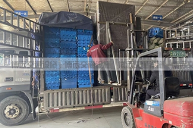 ����·�Ƶ��䷢��