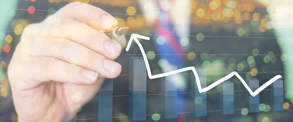 �ḻ����Ŀ����